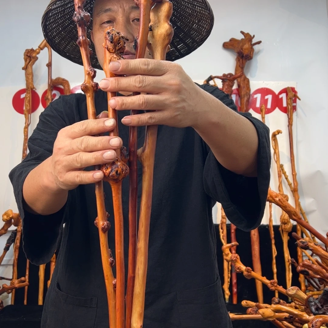 黑果木其他黑果木260