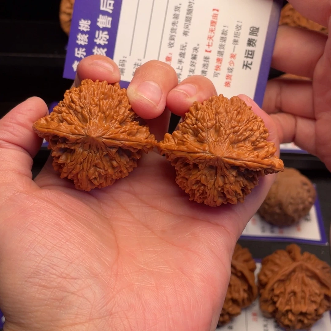 文玩核桃把件满天星45克重51