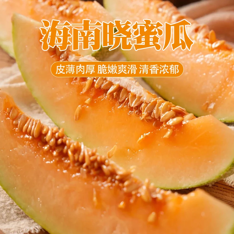 【坏果包赔】海南海沙地晓蜜瓜2粒净重6.5-7斤
