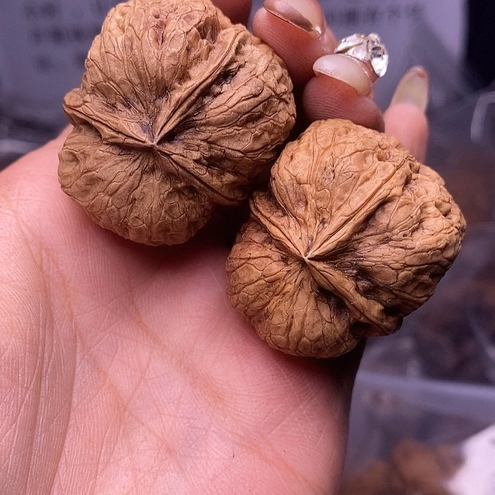 核桃云南野生铁核桃135号36mm