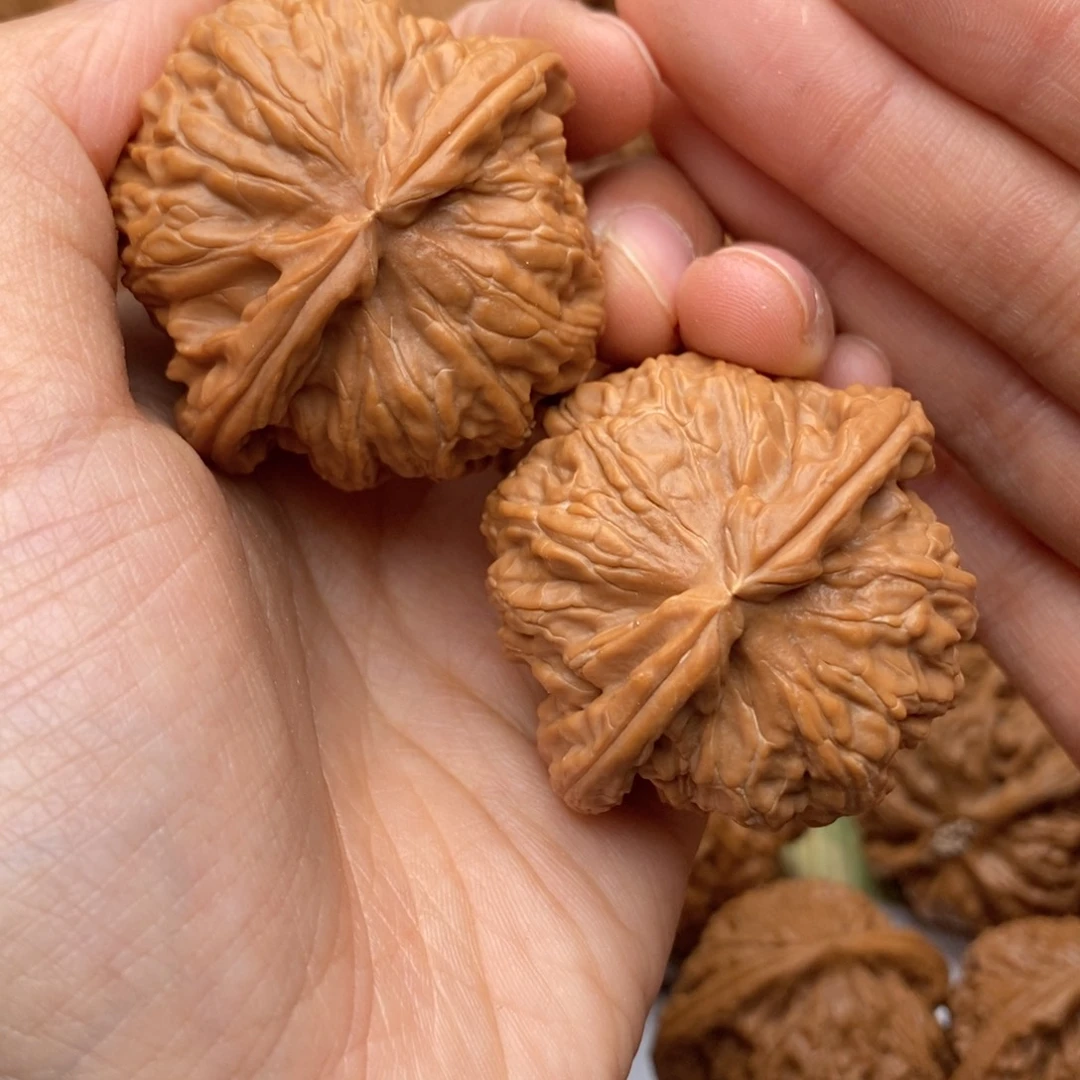 文玩核桃把件629高44全品白狮子