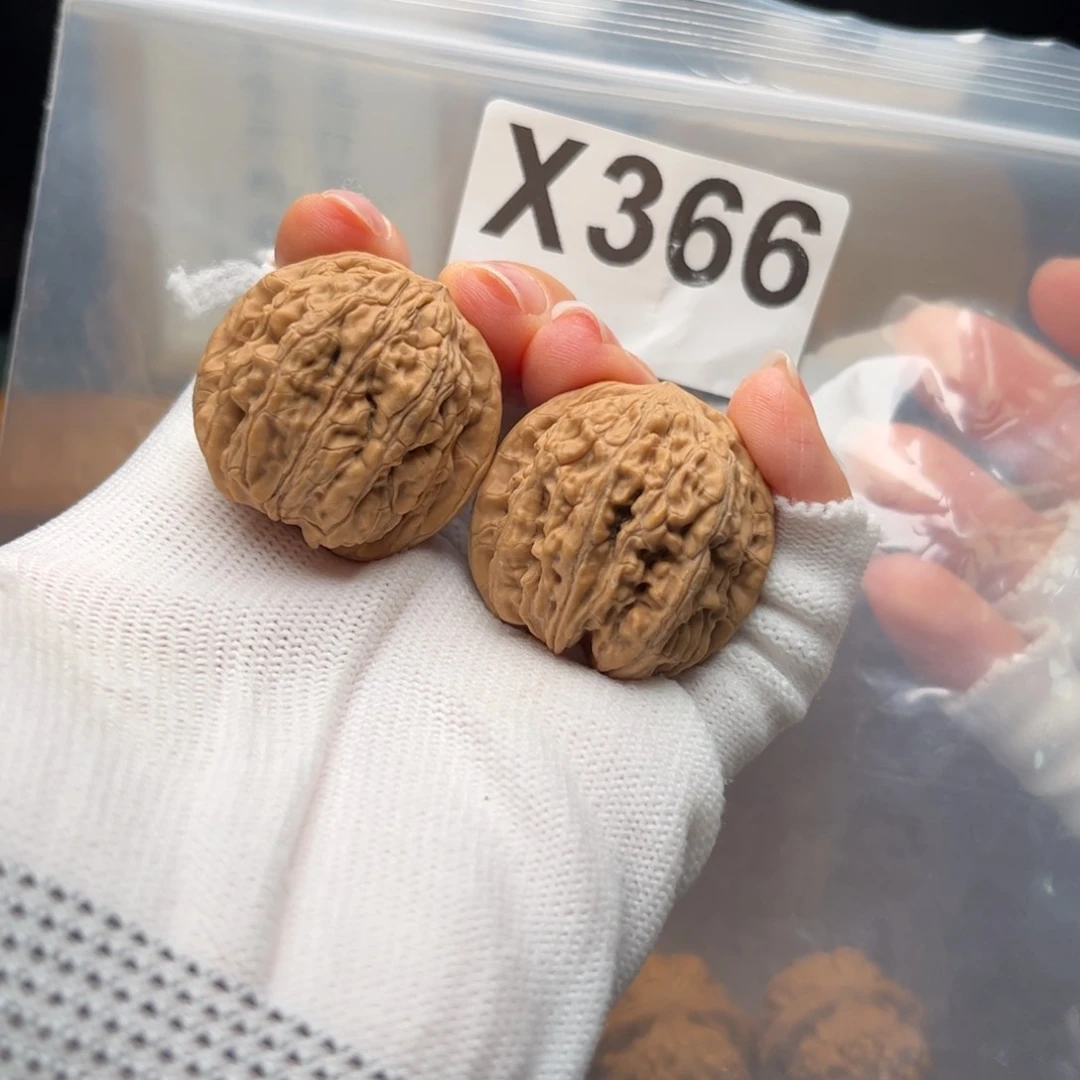 桃核把件33左右承德骰子x366