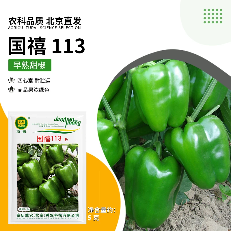 【农科院】灯笼椒种子绿甜椒种子蔬菜种子阳台盆栽小菜园大田专用种