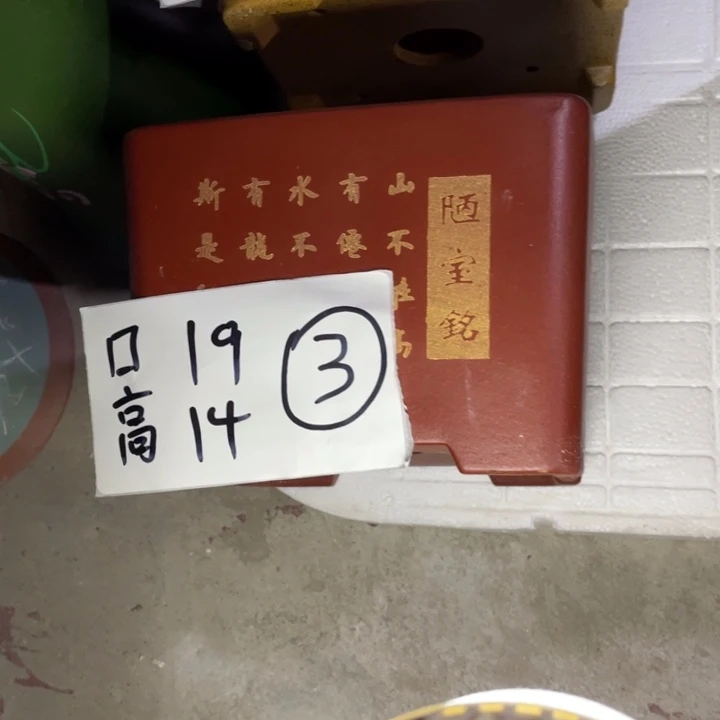 周深周深周深周深