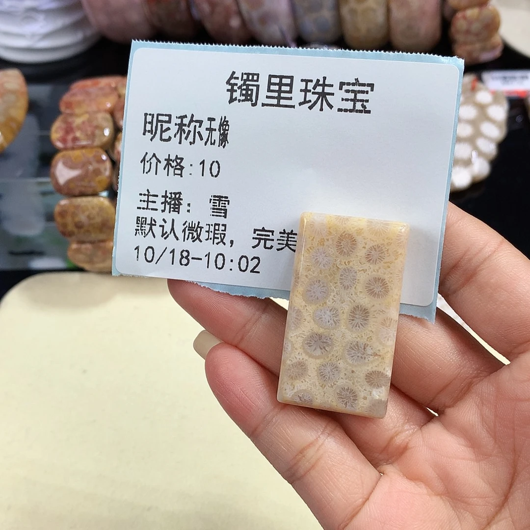 无***像硅化珊瑚（珊瑚玉）未镶嵌吊坠(赠链)