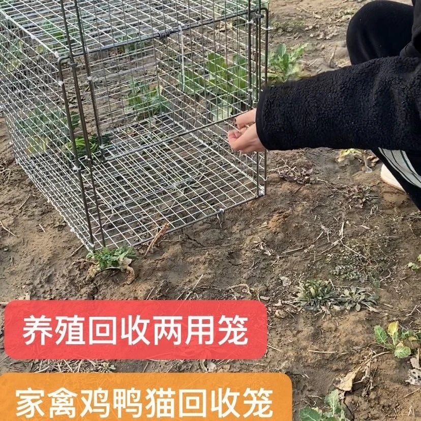 新款踏板天落笼机关滑门笼家用鸡鸽鸭猫回收养殖笼进不出自动鸟笼