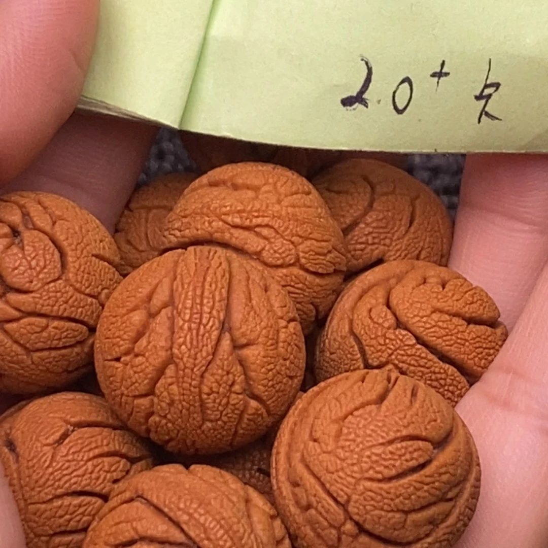 秦岭山脉龙纹桃核 13