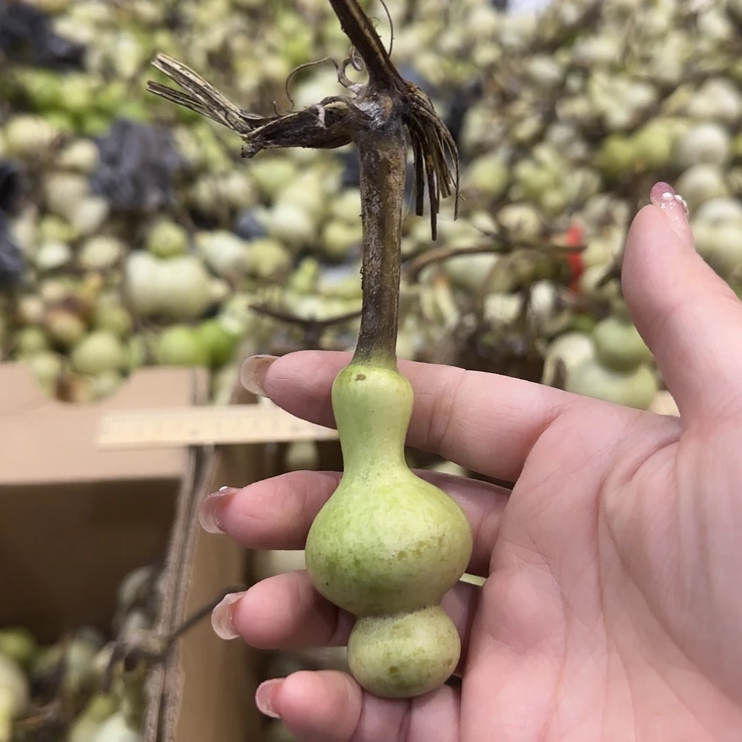 東***^葫芦v非常聚餐充个话费发货好几