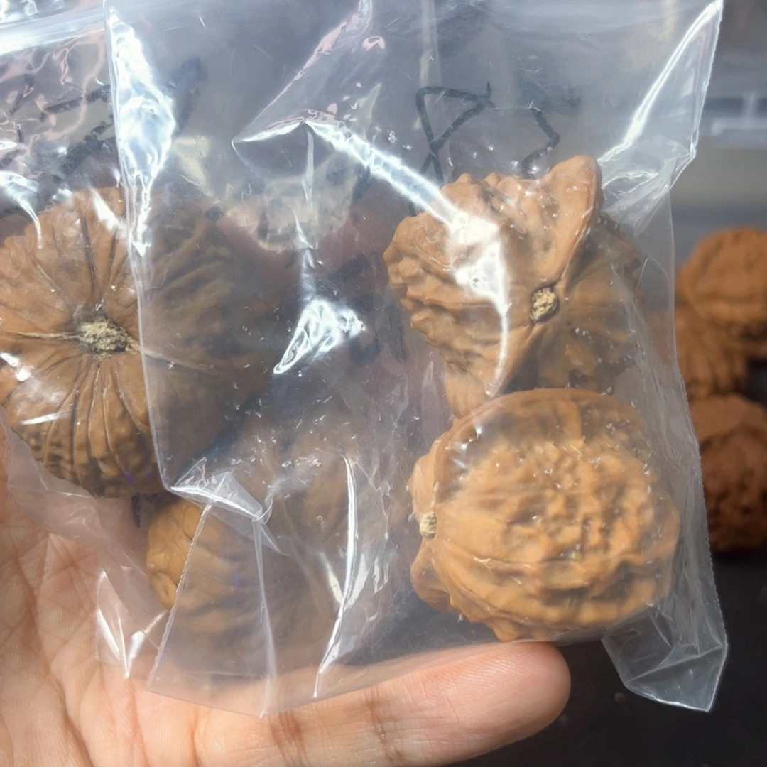 X***_南瓜墩42，瓷娃娃38，