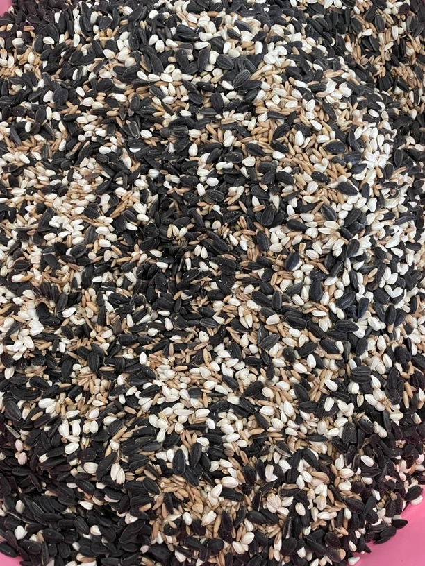 小太阳鹦鹉 和尚鹦鹉专用粮