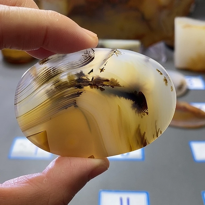 玛瑙/玉髓未镶嵌珠宝半成品167