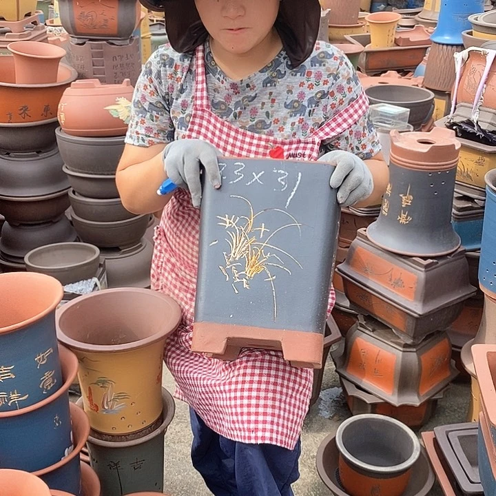 紫砂花盆盆栽花卉种植