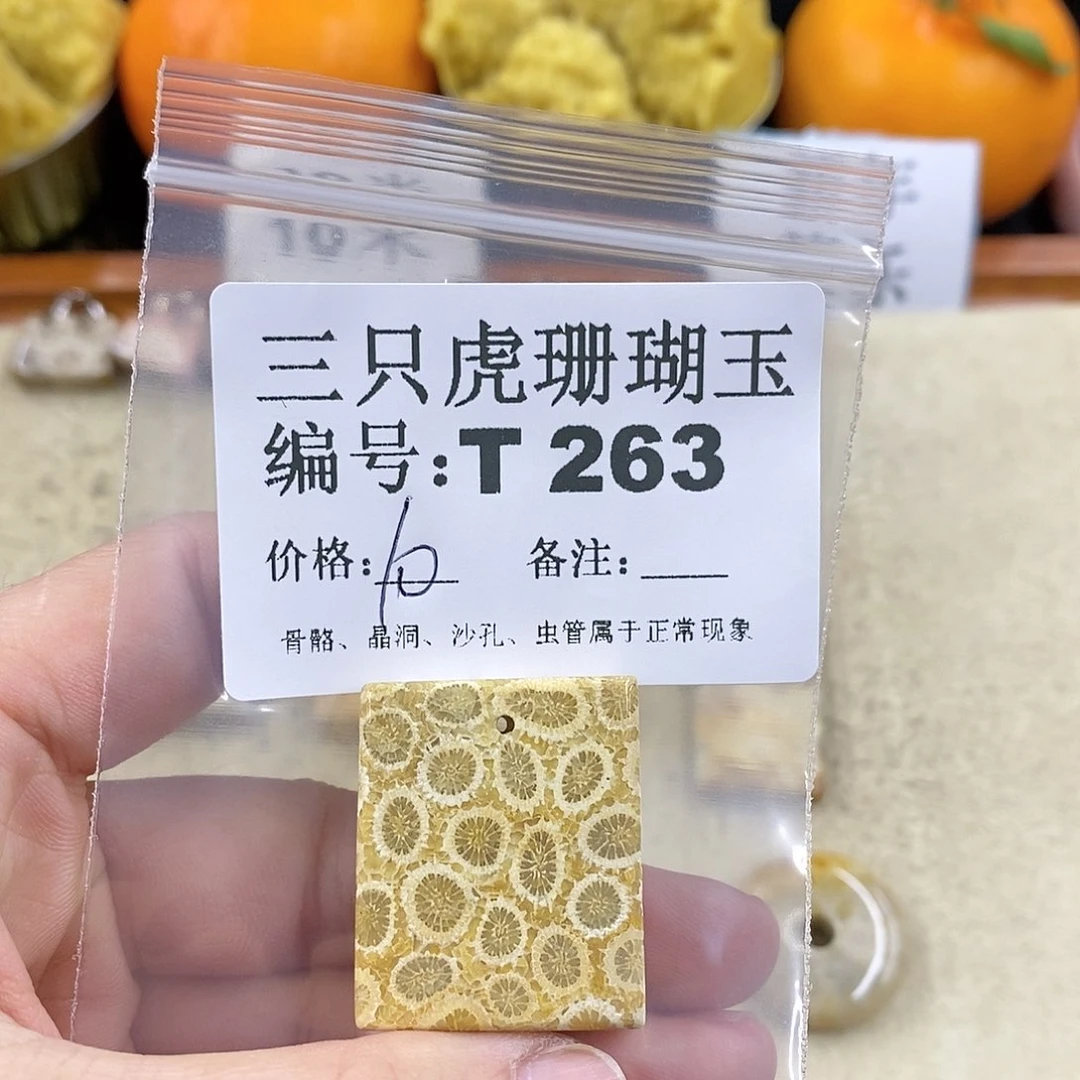 硅化珊瑚（珊瑚玉）1未镶嵌我****说