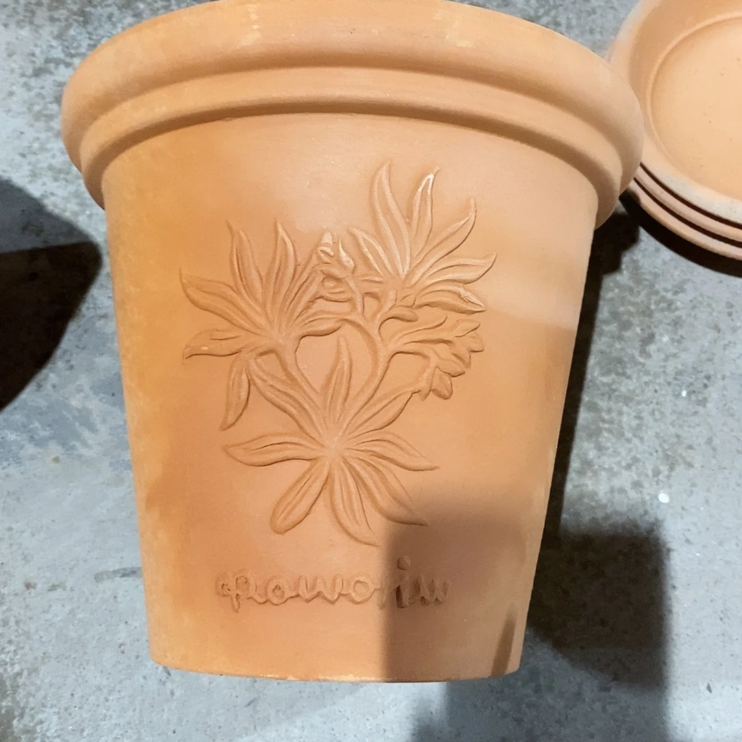 微瑕香草20×19-1