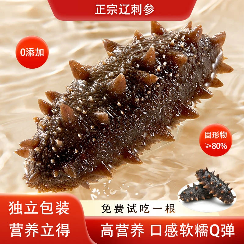 [新号开播]正宗辽刺参 渤海湾即食海参7-12头 底播海参