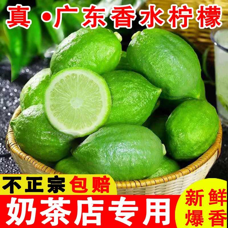 广东香水柠檬手打柠檬茶鸭屎香柠檬茶专用香气浓郁新鲜果园批发