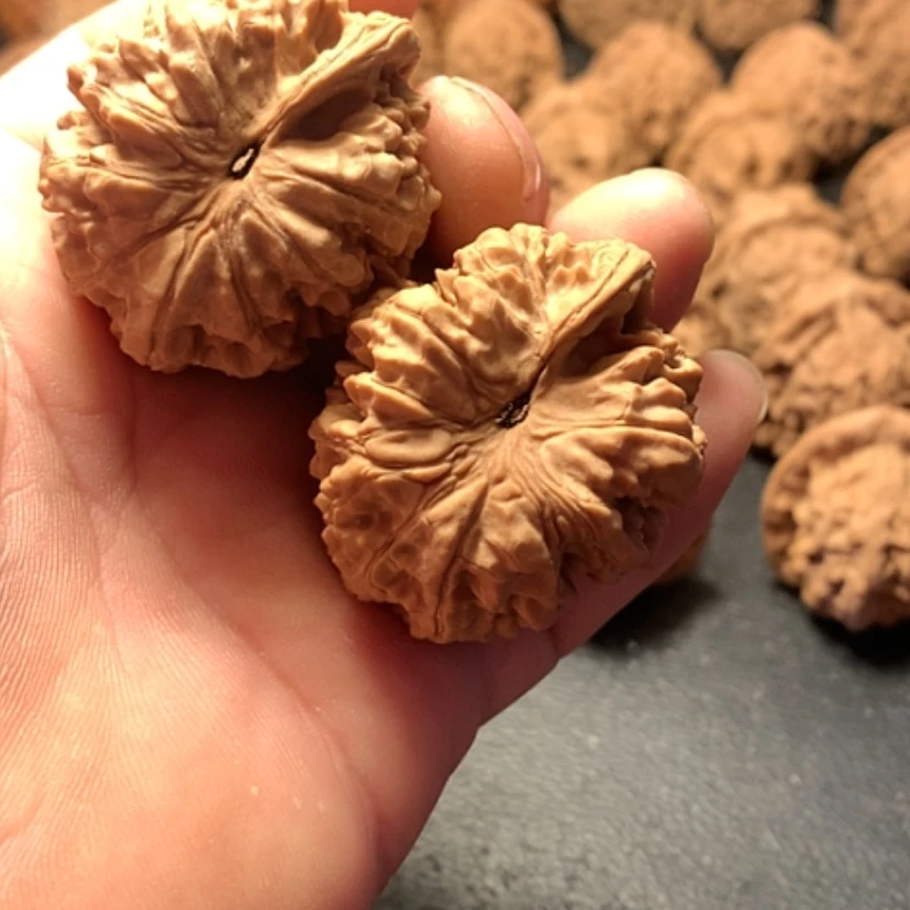 【闪购商品】嘎***?一根筋