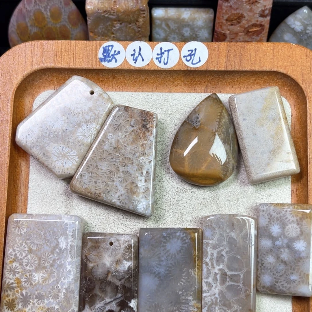 硅化珊瑚（珊瑚玉）吊坠未镶嵌