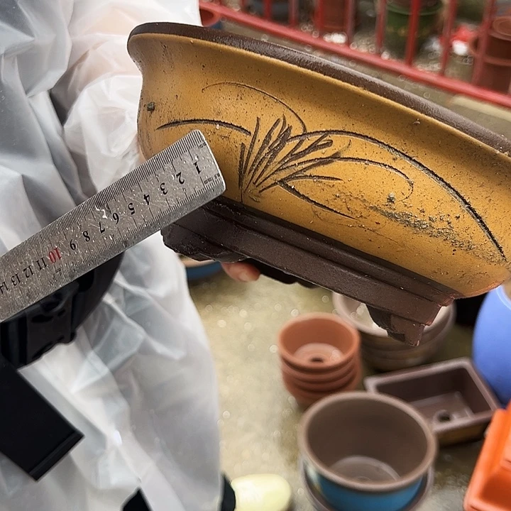 花盆花盆花盆花盆a115