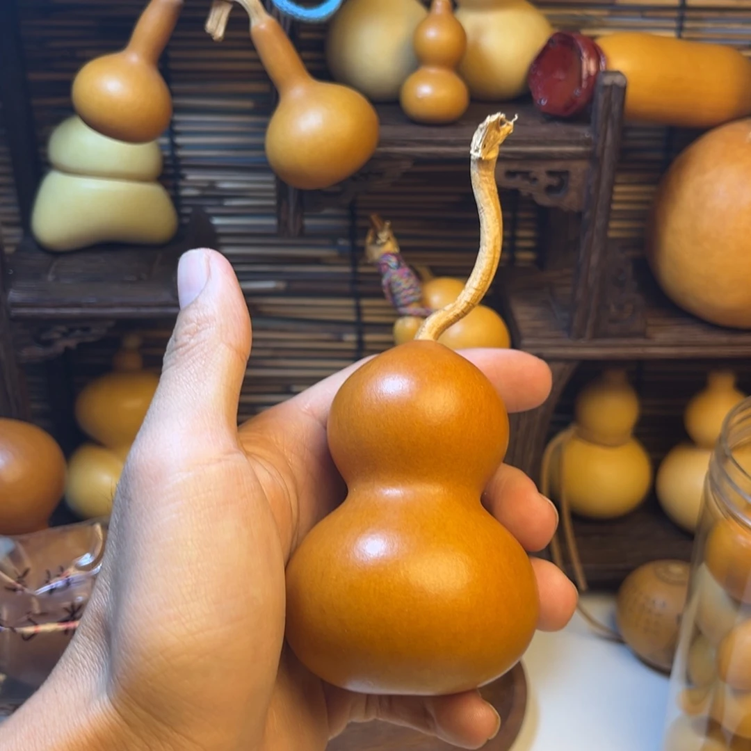 和尚头葫芦品种葫芦