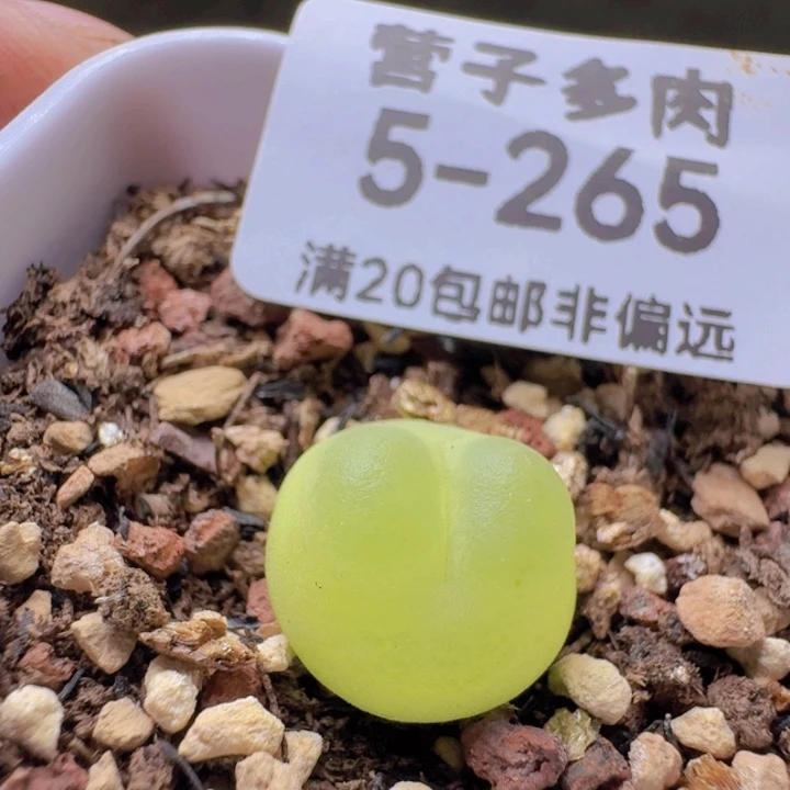 福利。
