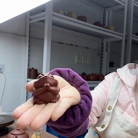 朱泥金蟾茶宠茶宠