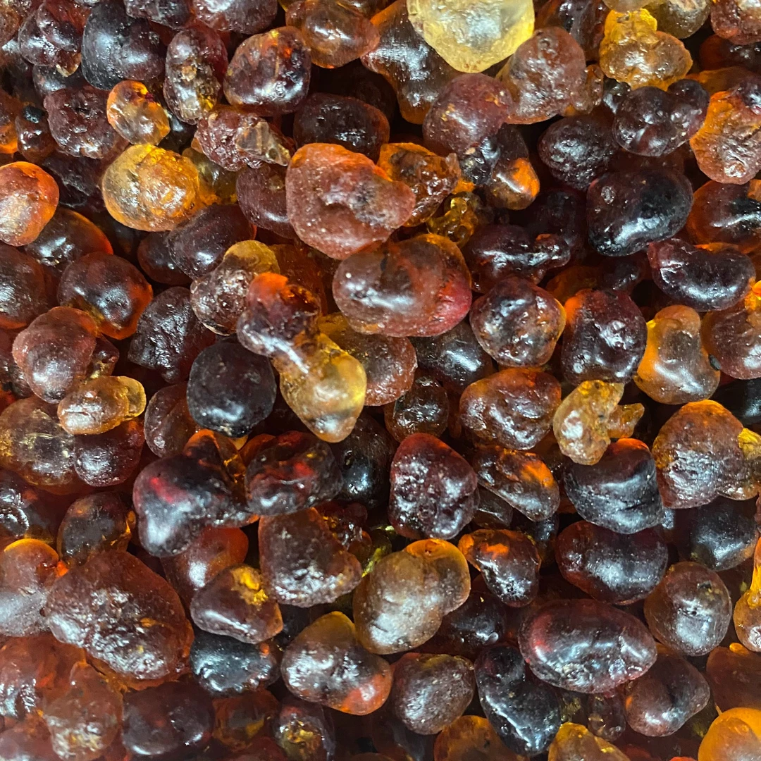 【现收】tj云南农家好物山货干货土特产------------1---------