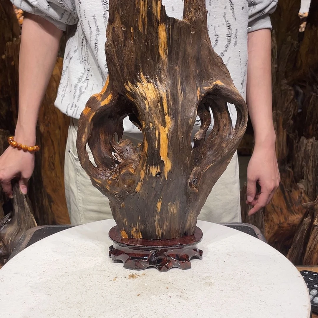 望***镜松木（琥珀木）北沉香