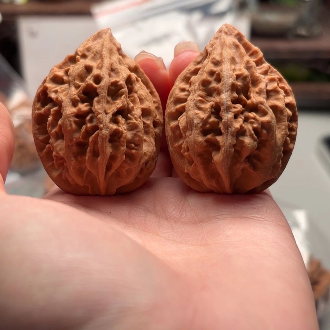 把件文玩核桃小蛙59