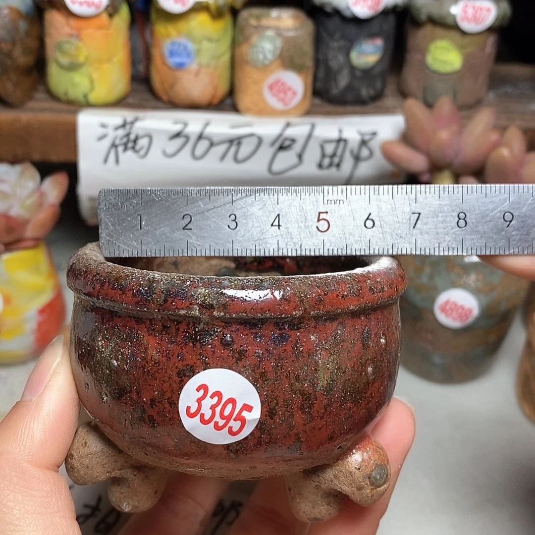 红陶拍5送一个小