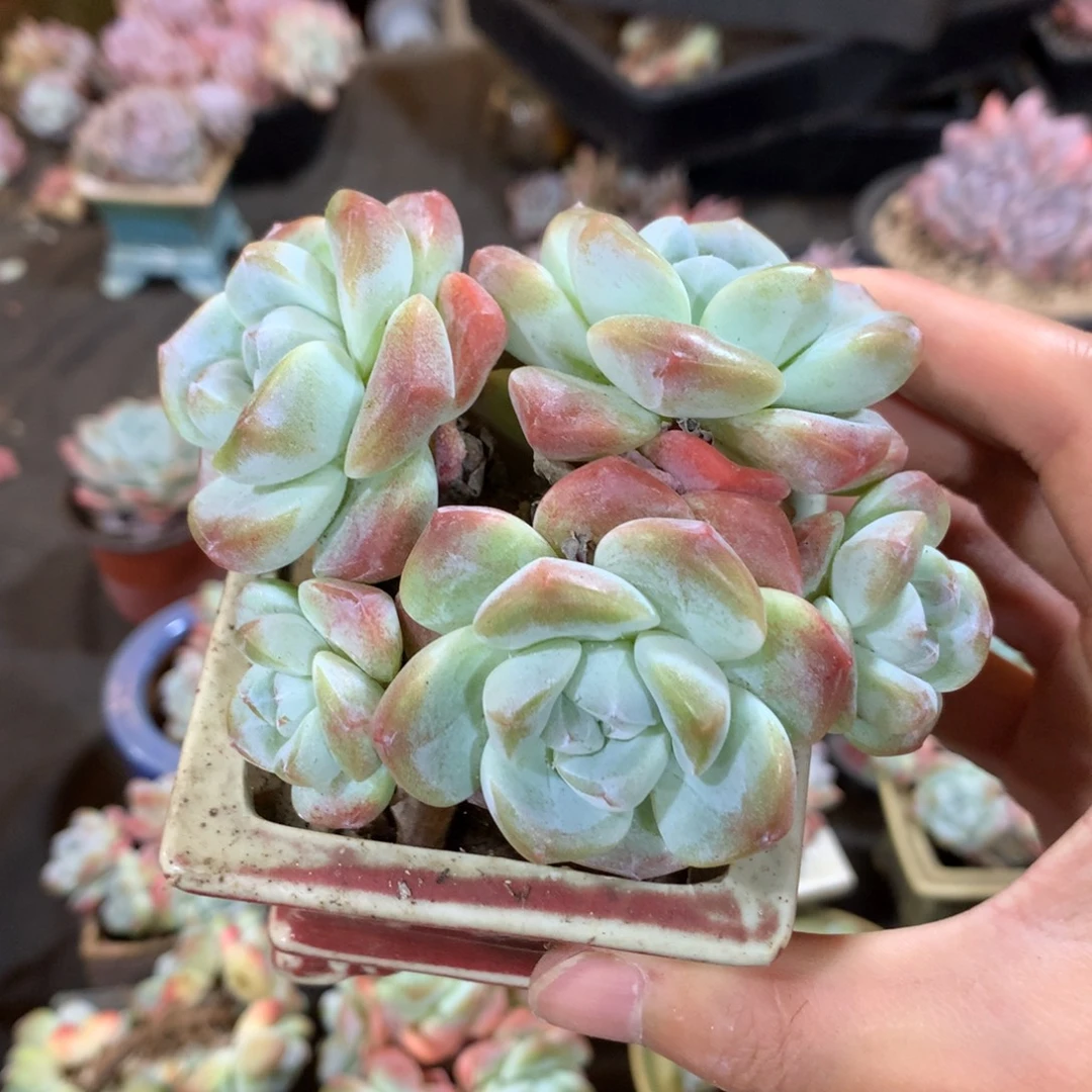 哈哈哈哈哈哈哈哈哈哈