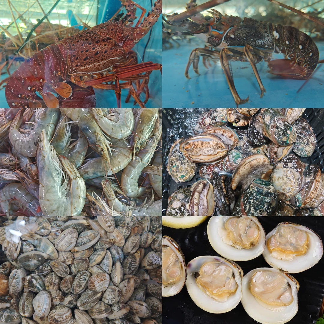 北园春【海鲜甄选】新疆包邮-鲜活花甲 龙虾鲍鱼海鲜自选现称点菜
