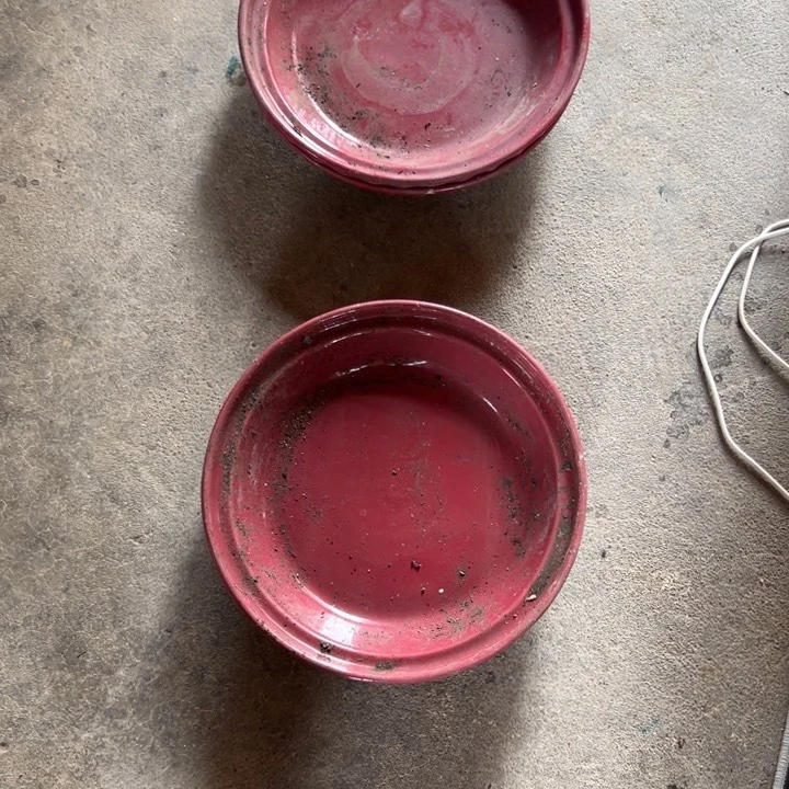 得**缘我们都是在关注起来了不是