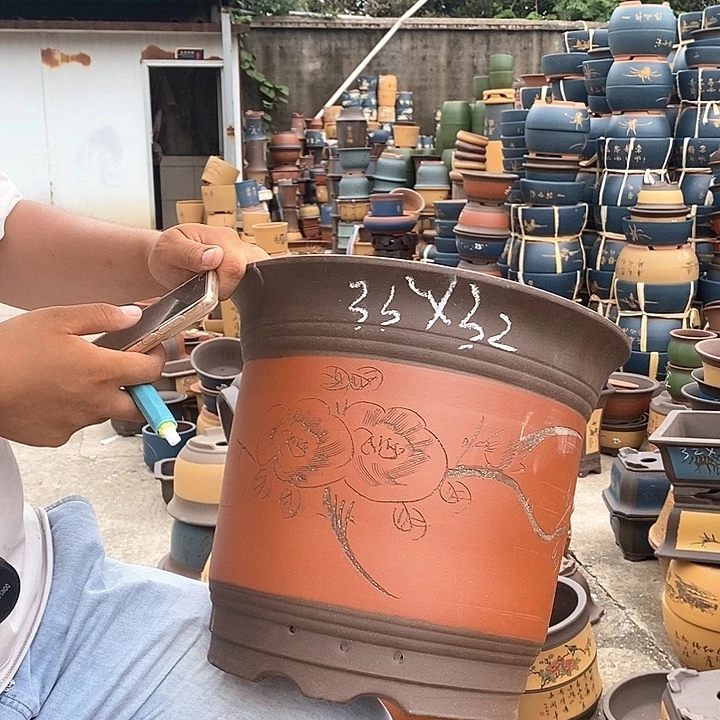 紫砂花盆盆栽植物种植