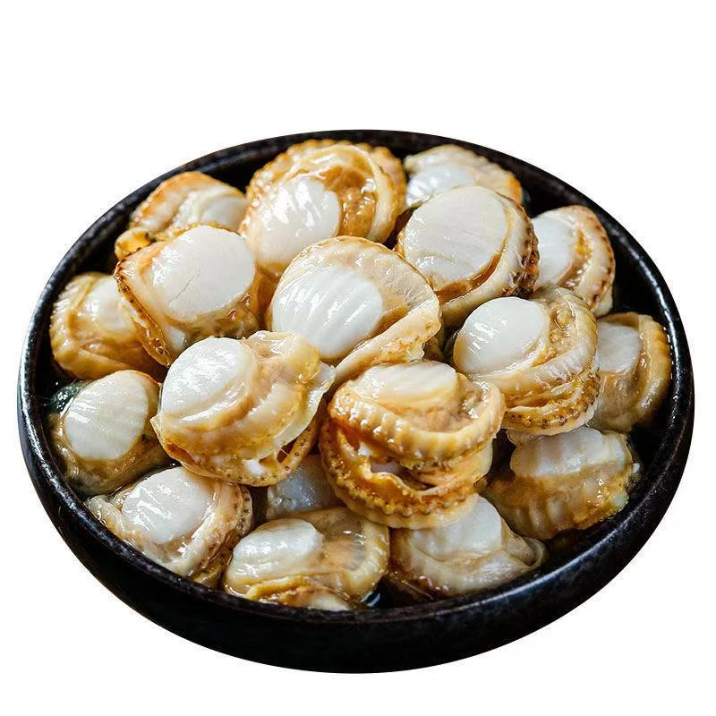 精选扇贝肉带膏带黄 新鲜美味 包邮到家