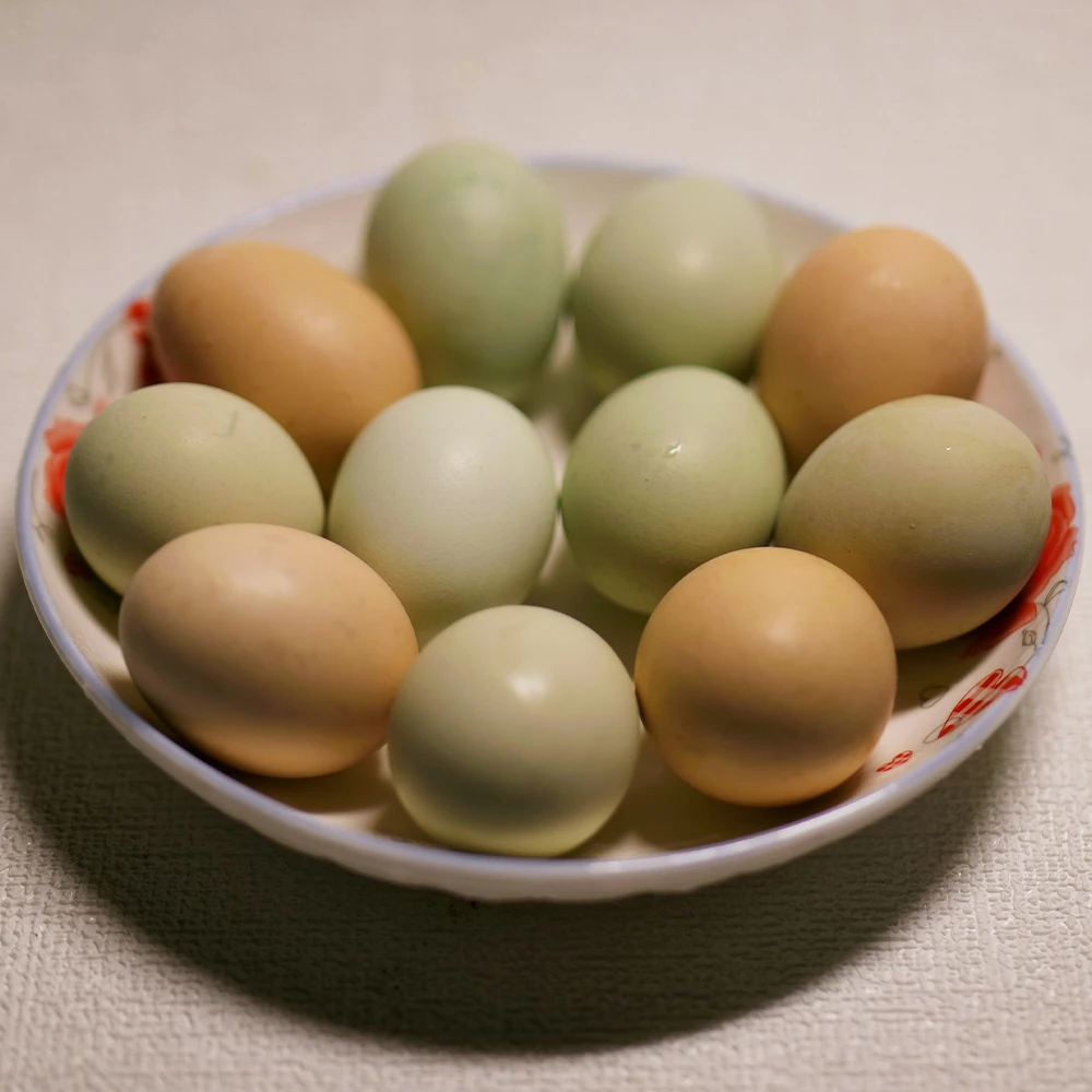 欢子TV土鸡蛋10枚散养土鸡蛋五谷杂粮土鸡蛋现捡现发破损包赔包邮