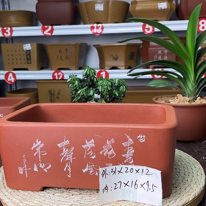 紫砂花盆紫砂之光