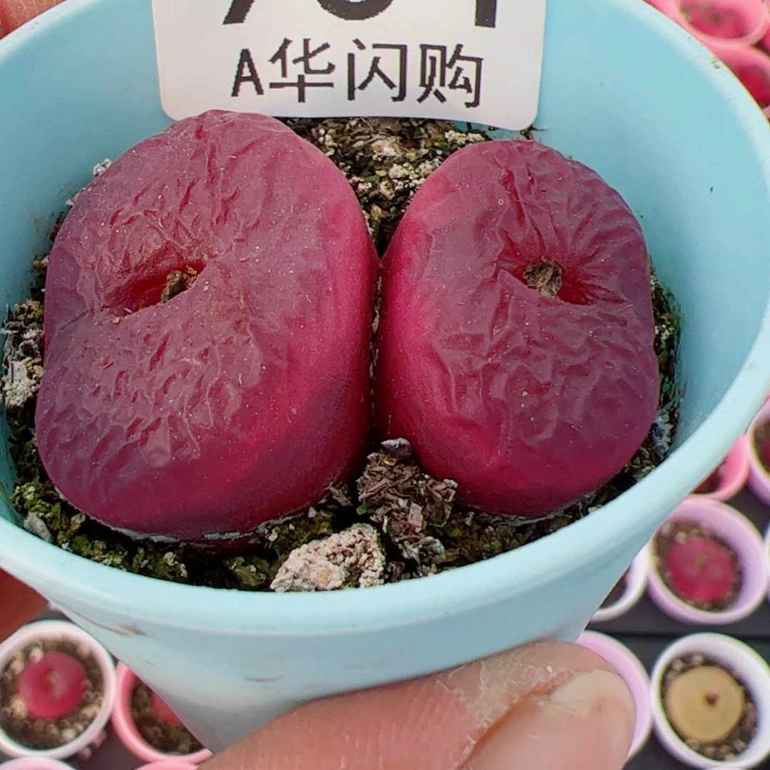 A****9我很喜欢这个A934