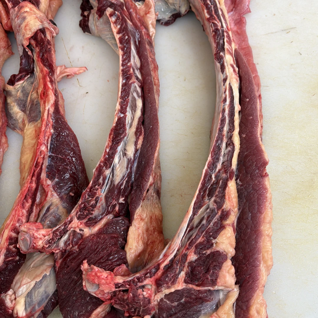 排骨5斤内蒙古锡盟正蓝旗散养牛顺丰冷链（送大青盐100g）