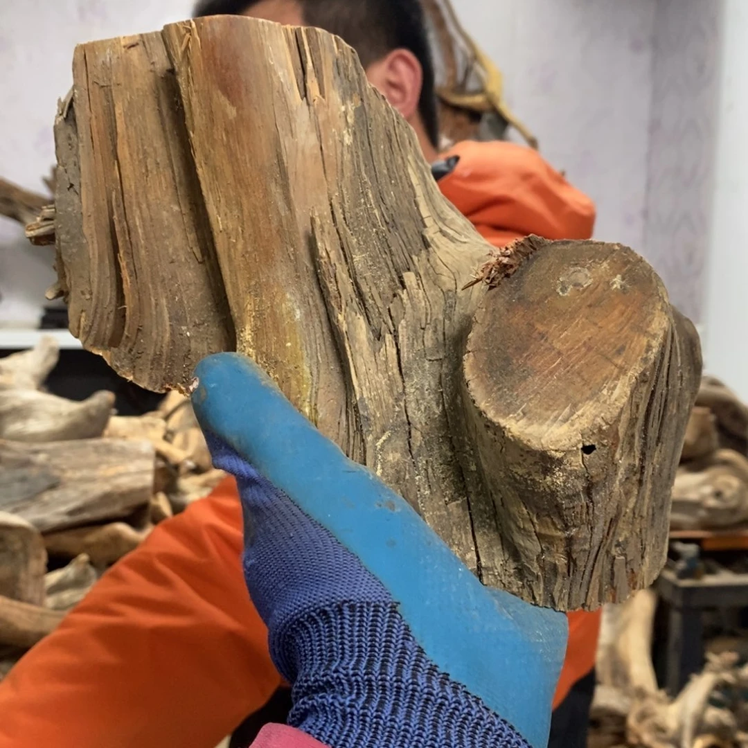 柏木?****?我们都是好孩子