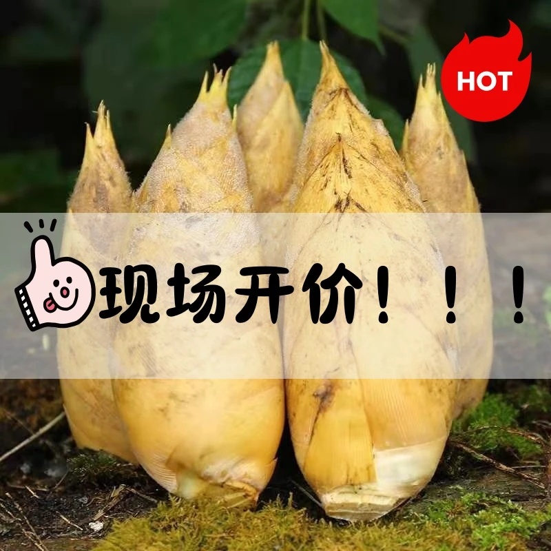 【现挖下山鲜冬笋】现场福利价开炸！！！H
