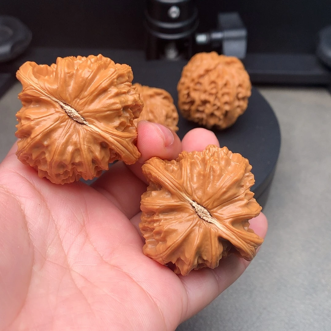 文玩核桃吊坠321号白狮子46