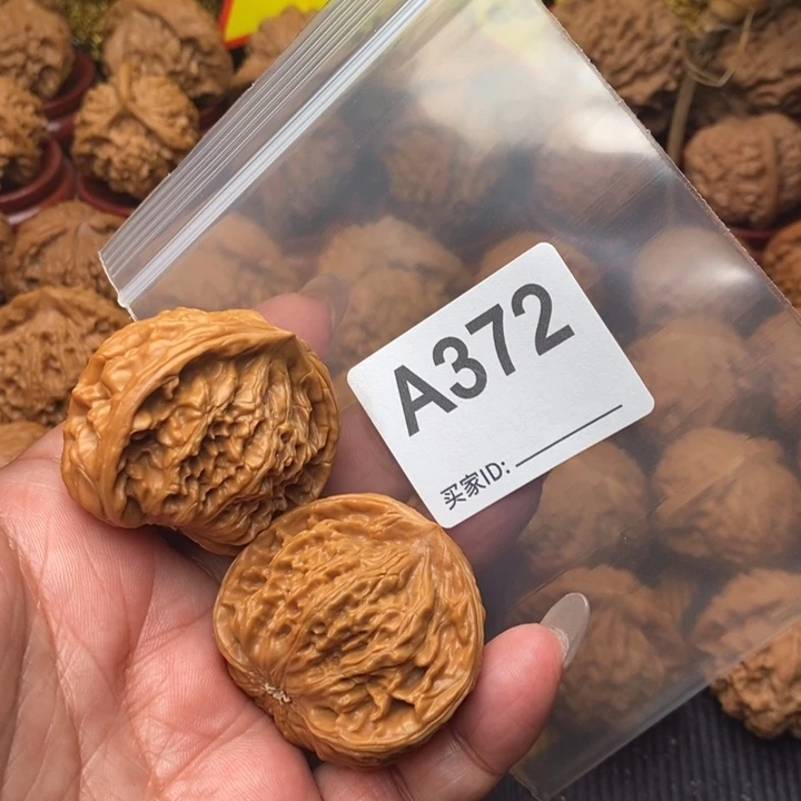 把件核桃蛇头40尺372号