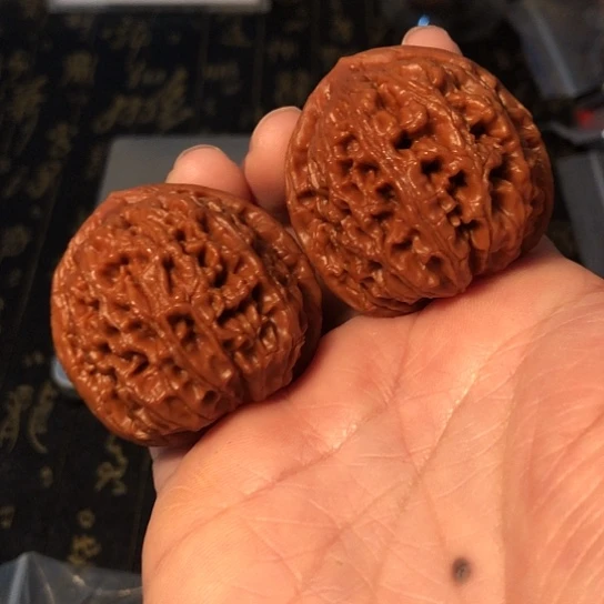 呼***哈文玩核桃把件水龙纹41mm
