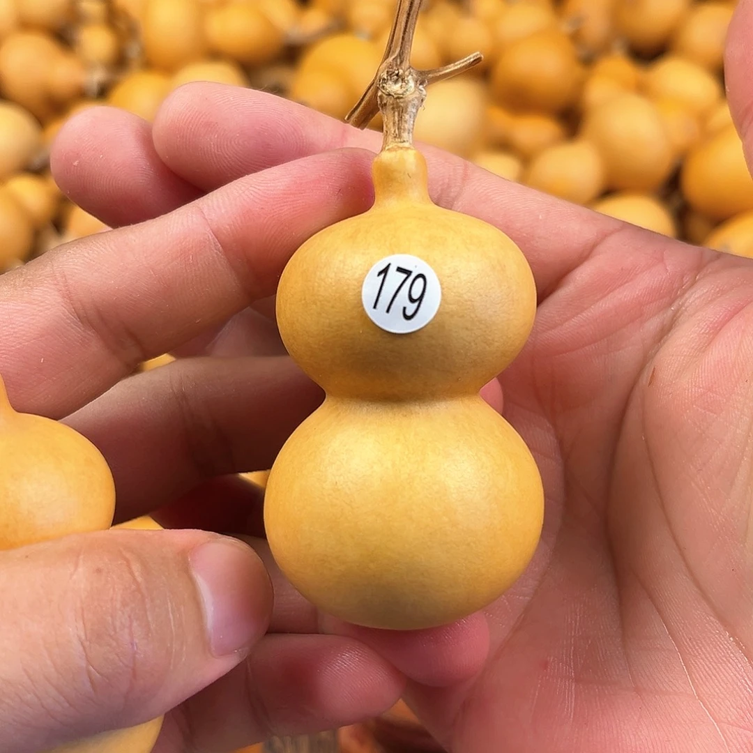 一葫芦葫芦葫芦葫芦179