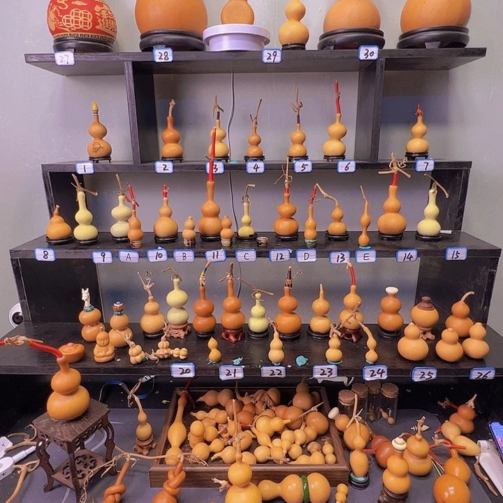 橙***橙有机玻璃蚂蚁蚂蚁蚂蚁蚂蚁