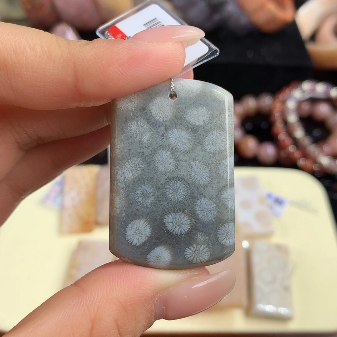 吊坠(赠链)未镶嵌硅化珊瑚（珊瑚玉）3号上新吊坠