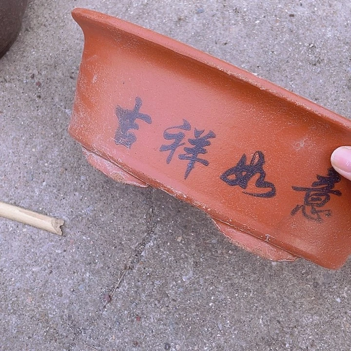 紫砂30红椭圆花片静静静