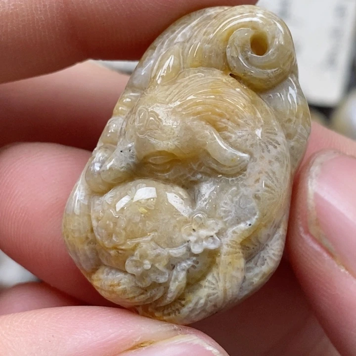 颈饰未镶嵌硅化珊瑚（珊瑚玉）有瑕 小