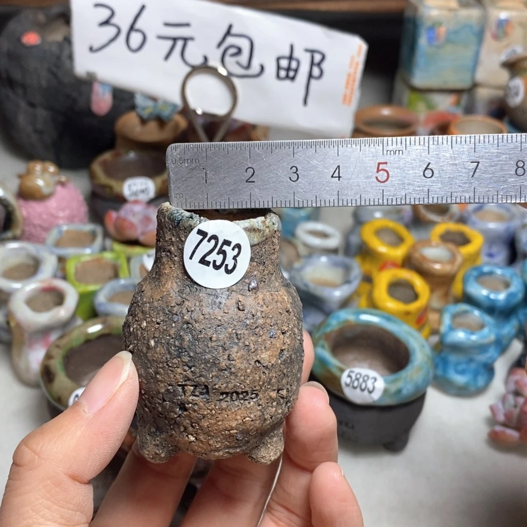 处理的，不退不换的原价28一个